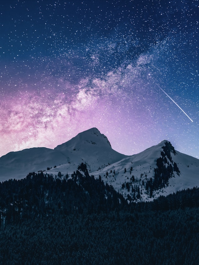 银翼农场封面