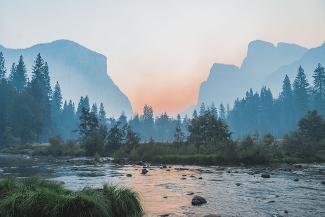 汴梁食录封面